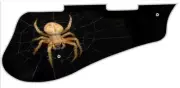 Pickguard Pick Guard 5120 Graphical Graphic Guitar Spider 2
