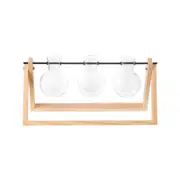 Triple Plant Propagation Station