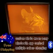 Desk Lamp Table Bedside Night Light Personalized Pet Smart Bluetooth Control