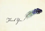 Peter Pauper Press Boxed Thank You Note Cards - Watercolour Quill 324597