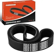 A-Premium Serpentine Belt Replacement for Trojan-Yale 1700 4-53 Diesel Alt.