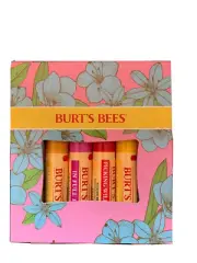 Burt’s bees 4 lip balms: peppermint, dragonfruit lemon, strawberry and pineapple