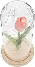 MUSISALY Luminous Tulip Dome LED Lamp Delicate Faux Tulip Ornament for Home Decor Unique Desktop Decoration Design with Simple Cover Present Occasion