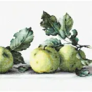 AppleArt Cross-Stitch Masterpiece Kit - Create Stunning Still Life with Apples!