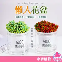 在飛比找蝦皮商城優惠-吸水透明花盆 自動吸水 簡約花盆 盆栽 懶人花盆 多肉 水培