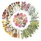 12pcs Nature Botanical Stickers Waterproof Scrapbook Stickers Scrapbooking