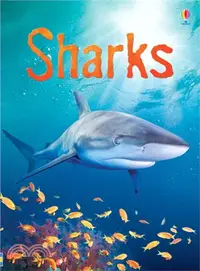 在飛比找三民網路書店優惠-Usborne Beginners: Sharks