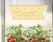 Spider Farmer 2025 SF1000D LED Grow Lights w Samsung LM301B Diodes *NEW*