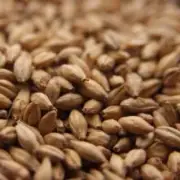 Simpsons Finest Golden Promise Malt - 1 lb. for Home Brew Beer Making