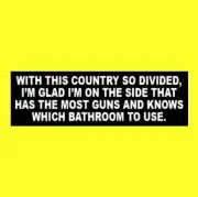 Funny "WITH THIS COUNTRY SO DIVIDED" Anti Liberal STICKER gun rights Molon Labe