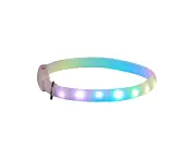 Biwiti USB Rechargeable Led Dog Collar Lighted Pet Collars Band