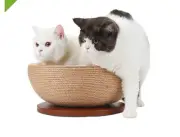 Cat Scratcher Post & Board Round Cat Scratching Lounge Bed Durable Pad