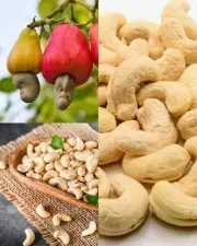Pure 100% Organic Oven Unsalted Whole Dry Cashew Nuts- 10% of the weight is free
