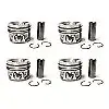 Set of 4 Pistons for Peugeot 1.5 BlueHDi - DV5R