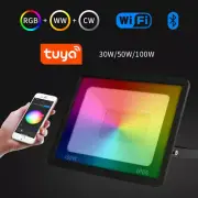 Tuya Smart Floodlight LED Reflector Outdoor Lighting IP66 220V 30W 50W 100W RGB