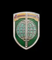 U.S. Army Vietnam Special Field Force 1” Pin - Fast Free Tracked Shipping (P3-1)