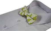 [Zasel] Mens Pear Fruit Patterned Bow Tie Cream, Green, Brown Patterned Bow Ties