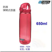 在飛比找Yahoo!奇摩拍賣優惠-NALGENE 美國製 650cc OTF運動水壺 5565