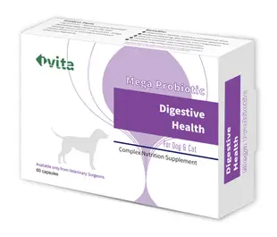 [免運]ivita虎揚 Digestive Health常樂 -60粒 含布拉酵母菌 似腸保寶.益生菌動物醫院專賣