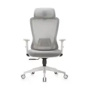 Shappa A7 High Back Ergonomic Chair(Grey)