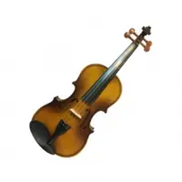 在飛比找小新樂器館優惠-Kkp 小提琴 初學入門款 共五種尺寸可選 型號:304 V