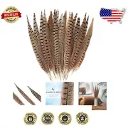 Versatile 20pcs Natural Pheasant Feathers 12-14in for Weddings & Home Decor