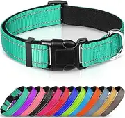 Joytale Reflective Dog Collar,Soft Neoprene Padded Breathable Nylon Pet Collar Adjustable for Puppy and Small Dogs,Teal,XS