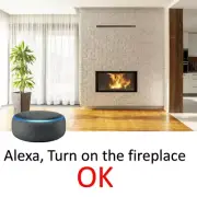 SMART SWITCH PLUG for FIREPLACE VOICE ACTIVATED + Timer - Auto ON OFF + WIFI