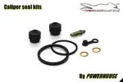 Yamaha XV950R Bolt R-Spec 2017 rear brake caliper seal parts repair kit set