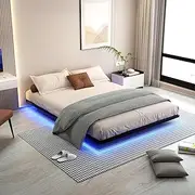 Floating Bed Frame Queen Size with Smart LED Lights Metal Platform Bed Easy Assembly No Box Spring Needed (Queen)