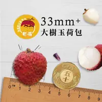 在飛比找蝦皮商城優惠-【老張果物】大樹玉荷包((33MM+)) 5斤禮盒裝 限量搶