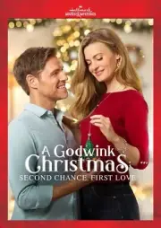 A Godwink Christmas: Second Chance, First Love [New DVD]