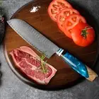7 inch Santoku Knife Damascus Steel Chef Knife Meat Cleaver Knife Resin Handle