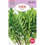 種子王國 芝麻菜（齒葉） 火箭菜【香藥草種子】天星牌 可作為生菜沙拉 小包裝種子 家庭園藝 原包裝種子