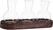 ifundom 1 Set Clear Hydroponic Glass Vase Desk Terrarium for Easy Plant Propagation Versatile Home Decor Centerpiece for Busy Lifestyles for Any Tabletop