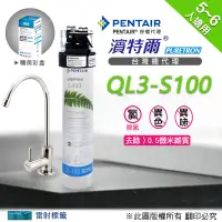 在飛比找蝦皮購物優惠-快速出貨🔥PENTAIR濱特爾公司貨QL3【S100】單道淨