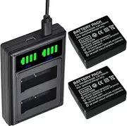 2 Packs DMW-BLG10 DMW BLG10 BLG10E BLG10PP BLE9 Batteries Dual Charger with Type C Port for Panasonic Lumix DMC GF6 GX7 GX80 GF3 GF5 LX100 Camera