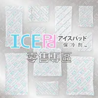 在飛比找蝦皮購物優惠-【現貨】ICE Pad 200 300g 保冷劑 環保安全 