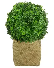 Creative Displays Uv-Rated Outdoor Boxwood Ball In Basket Planter