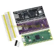 1X Raspberry Pi Pico Board RP2040 TYPE-C / MICRO Dual-Core 264KB ARM Low-Power