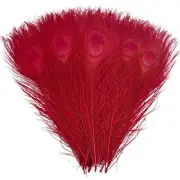 20pcs Red Peacock Feathers 10-12Inch Feather for Crafts Hat Costume Christmas