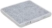 Pacific Industries (PMC) Air Conditioner Filter Clean Filter with Activated Carbon Deodorizing Type