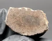 NWA 4874 (7.691g) Brachinite Meteorite, Thick Polished Slice, IMCA Sellers
