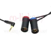 3.5mm Plug to 2 x XLR 3 pin Audio Cable for RØDE Wireless GO II Wireless output