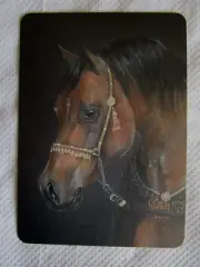 HORSE SWAP CARD~LINEN NEW~ARABIAN BROWN HORSE WITH GOLD HALTER#21