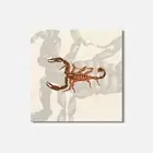 Glossy Scorpio Animal 4'' X 4'' Square Wooden Coaster