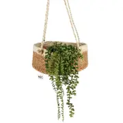 Airlie Jute Hanging Basket w/ Rope Hanger
