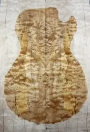 Figure Electric Bass Top Quilted Spalted Maple Wood Bookmatch Set Luthier Supply