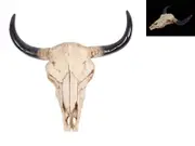 30cm Resin Artificial Cow Skull, Realistic Bohemian Style, Wall Art Hangable