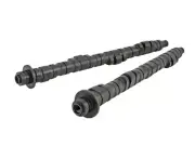 Fits Skunk2 Pro Series 2 Honda S2000 F20C/F22C Camshafts